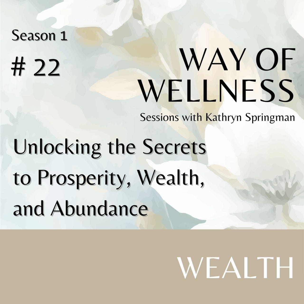 Cover for Ep 1.22 Unlocking the Secrets to Prosperity, Wealth, and Abundance